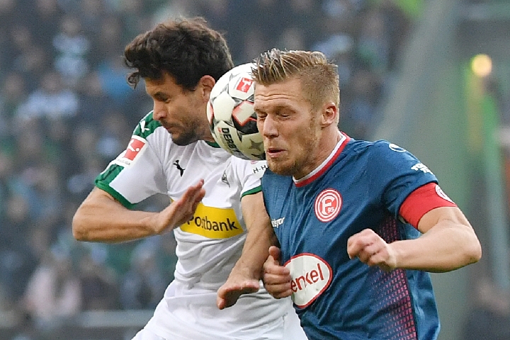 巨大的场馆 巨大的场馆