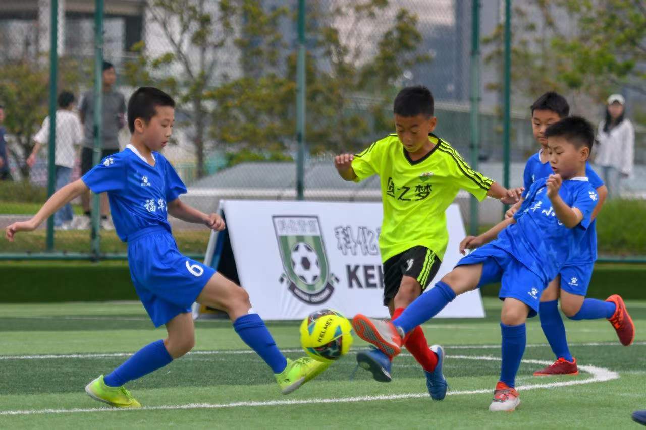 树立了榜样 树立了榜样