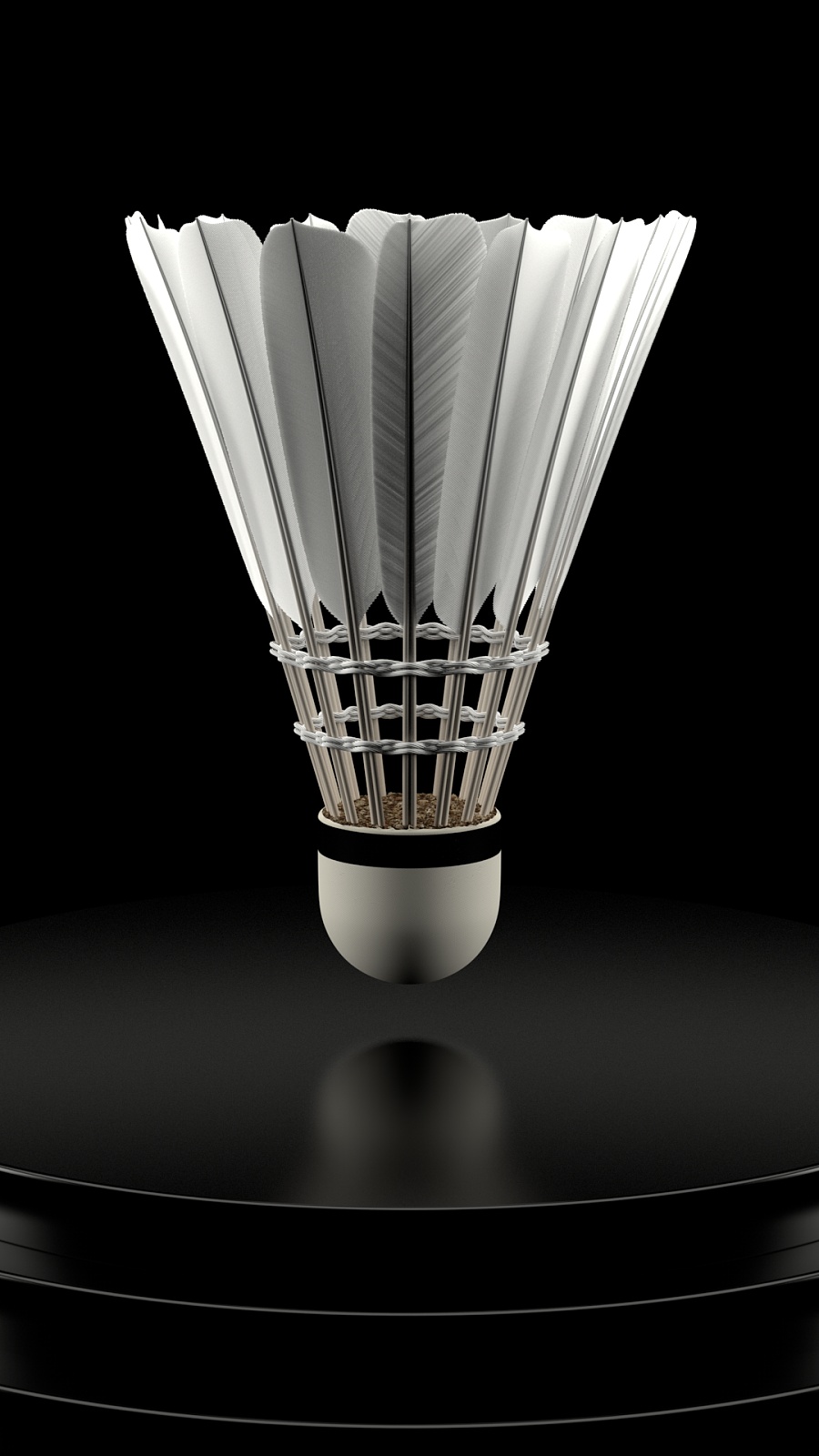 是用可变年 是用可变年